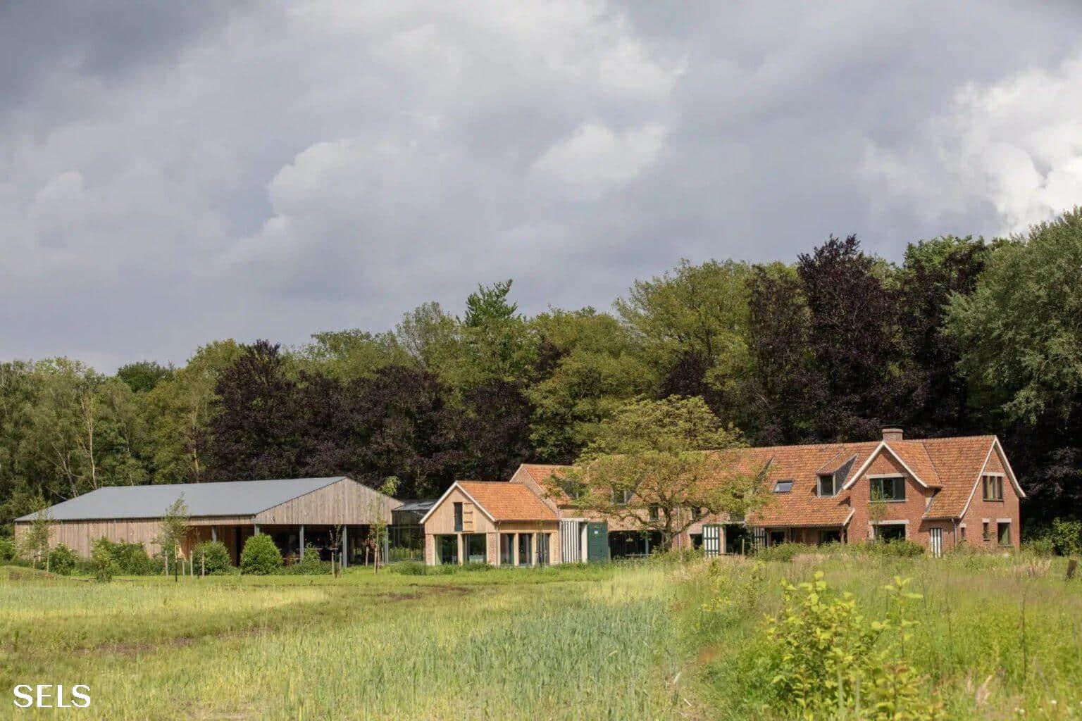Rustig plattelandszicht met huizen met rode daken, een schuur en een grasveld voor een bosrijke achtergrond.